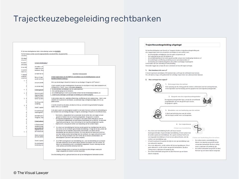 Litigation design